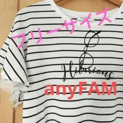 ❰フリーサイズ❱anyFAMストライプ柄フリルTシャツ夏服半袖レディースかわいい