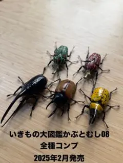 いきもの大図鑑　かぶとむし08 全種　コンプ