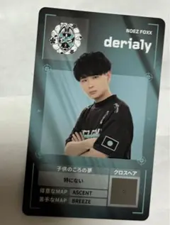 VCJ 入場者特典 プレイヤーカード derialy