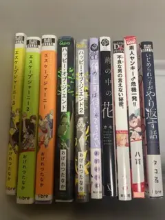 BL本まとめ売り 商業BL 10冊