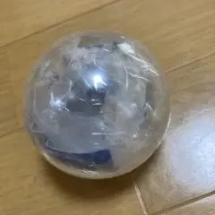 沖縄美ら海水族館カプセル　ウミガメ