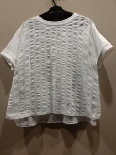 Ｊ.sloaneホワイト半袖カットソー