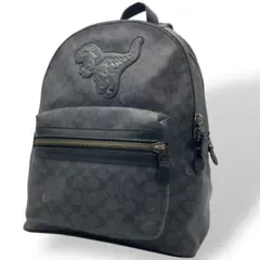 2025年最新】coach レキシー リュックの人気アイテム - メルカリ