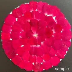ネコポス発送＾＾バラのはなびら☆押し花素材☆花材