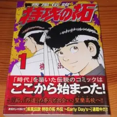 【本日限定セール❗️】疾風伝説 特攻の拓　1〜17巻セット　抜け有り　初版多数 楽天市場】疾風伝説特攻の拓 全巻セットの通販