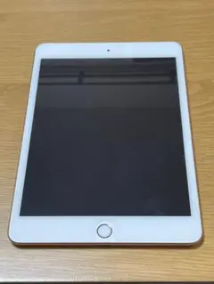 iPad mini 5 Apple pencil 第一世代 セット