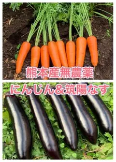 熊本産にんじんu0026なす