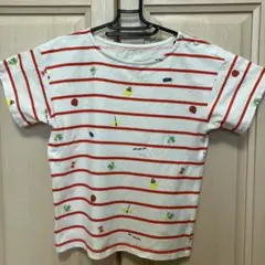 Insect Collection 赤ストライプ Tシャツ140〜150センチ