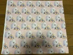 58.ポメラニアン