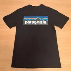 patagonia ブラック Tシャツ