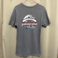 古着　Patagonia パタゴニア 横浜ベイサイド店限定　北斎　Tシャツ　XS