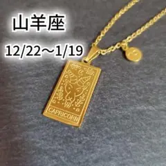 A750【山羊座★】星座 ネックレス S316L シンプル スクエア K18YG