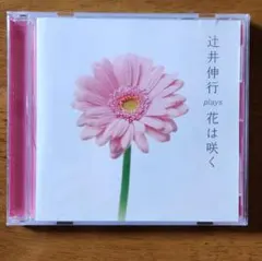 辻井伸行 plays 花は咲く
