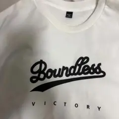 Item thumbnail for item ed64c297-ea09-442a-b3d4-d7d1ea661310