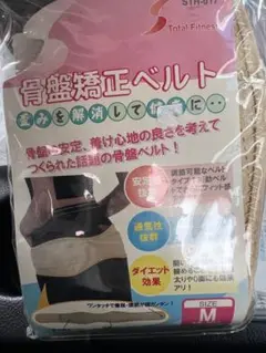 Item thumbnail for item b997b745-c36a-45b8-86a5-bf68d84c7c16