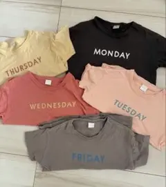 バースデイ テータテート 曜日Tシャツ　5枚セット