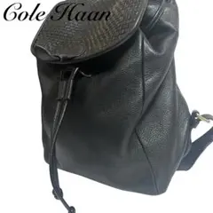 【美品】コールハーン　リュック　バックパック　ブラック　レザー　シボ革