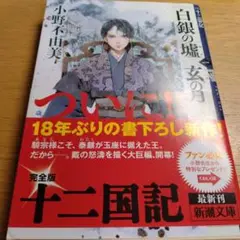 十二国記 白銀の墟、玄の月