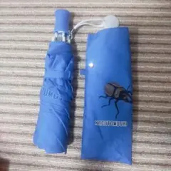 Item thumbnail for item 403e64b8-a78a-4c85-b8c0-6c481718a00a