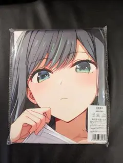 Item thumbnail for item 384633f1-dfb7-453b-b163-d8f765b4ce9d