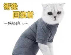 Item thumbnail for item a62d21fe-0e1a-4af9-95f0-5724535bbf47