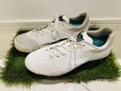 Item thumbnail for item 6750135b-b101-41f9-8cb3-5fbca6b0cdd8