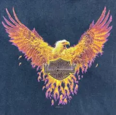 Harley-Davidson Flame Flame 90s Tシャツ