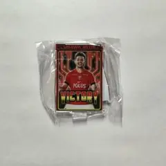 浦和レッズ　ヴィクトリーアクリルスタンド　ダニーロボザ選手