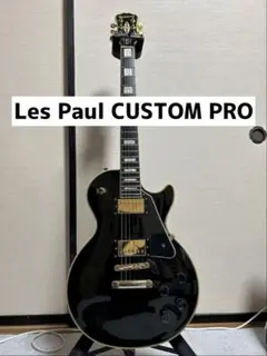 2025年最新】epiphone les paul custom proの人気アイテム