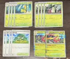 ポケモンカード ベイリーフ メガニウム チコリータ 活力の森 汎用