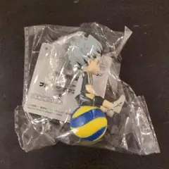 ハイキュー!! プチっとのりマスvol.4 木兎光太郎②