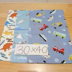 男の子柄♪ランチョンマット30×40☆１枚仕立て・3枚セット