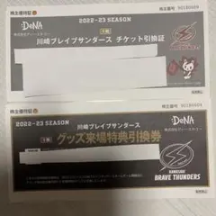 Bリーグ◆川崎ブレイブサンダース観戦チケット・グッズ来場特典引換券◆各1枚