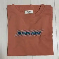 BEAMS HEART Tシャツ 半袖 ピンク オレンジ