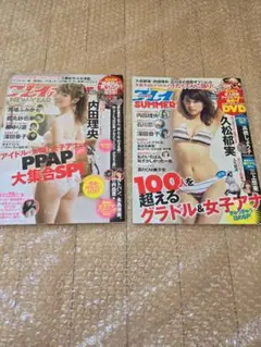 週刊プレイボーイ 増刊号 2冊セット
