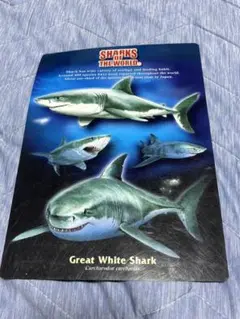 Great White Shark 下敷き　サメ