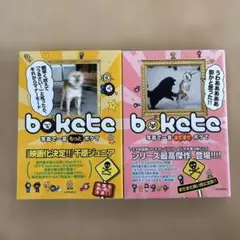 bokete : 写真で一言もっとボケて : 今度も笑い死に注意!! 2冊セット