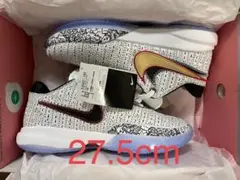 NIKE LEBRON 20 XX EP レブロン20 新品 27.5cm