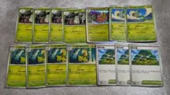 ポケモンカード　チコリータ　進化ライン　セレビィ　活力の森