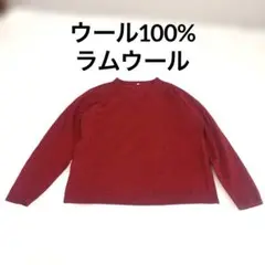 ワインレッド Vネック ニット LL WOOLMARK ウール100%