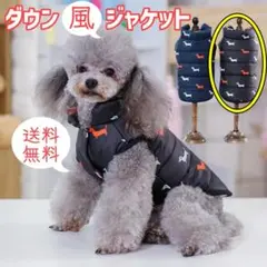 Item thumbnail for item 873a0b7e-7d06-4e85-9663-8c69f3a129af