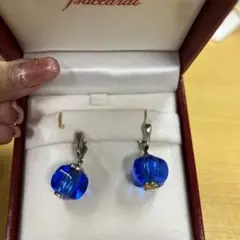⭐︎クリスマスセール⭐︎BACCARATバカラ イヤリング