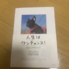人生はワンチャンス! 「仕事」も「遊び」も楽しくなる65の方法