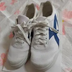 体育館シューズ 25㎝