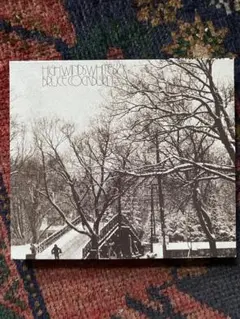 大名盤　BRUCE COCKBURN HIGH WINDS WHITE SKY