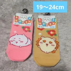 Item thumbnail for item 0cb18337-3fcf-48f3-827f-2532bdd70630