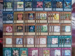 【遊戯王】 聖天樹 サンアバロン　デッキ パーツ 　83枚　D-1407