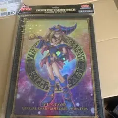 遊戯王 デュエルカードケース A4サイズ