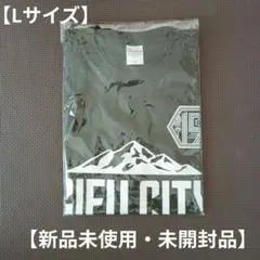 【新品未使用・未開封品】 FC岐阜 Tシャツ Lサイズ