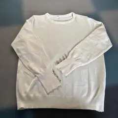 Item thumbnail for item 49081a3b-859b-48da-9d46-641176f2dd91